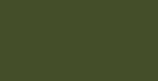 RV-251 Forest-Green