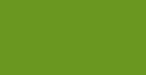 RV-6018-Brilliant-Green
