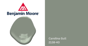 carolina gull 2138-40 blotch and square