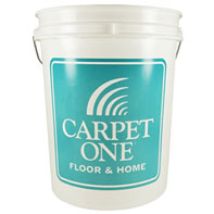 Carpet-One-Pail