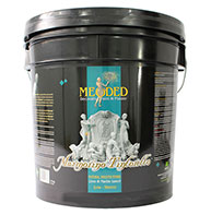 Marmorino Tintoretto Lime-Based Plaster