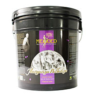 Marmorino Palladino Decorative Lime Plaster