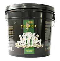 Tonachino Firenze Sand Finish Plaster