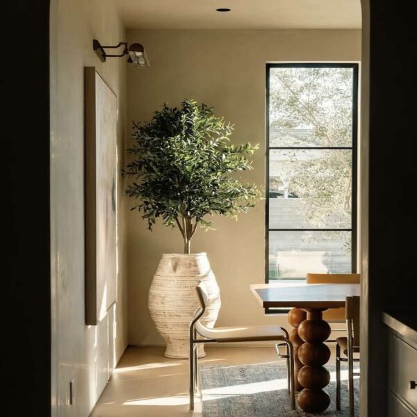 dining room moroccan clay matte plaster