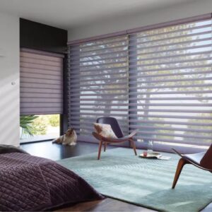 motorized blinds