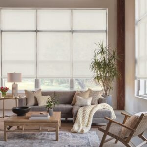 woven shades hunter douglas