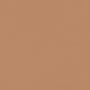 Potters Clay 1221 color