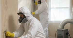 lead abatement in home