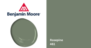 rosepine 461 paint color