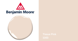 tissue pink 1163 paint color