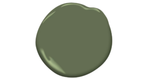 benjamin moore alligator alley 441 paint blotch