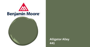 benjamin alligator alley 441 paint sample