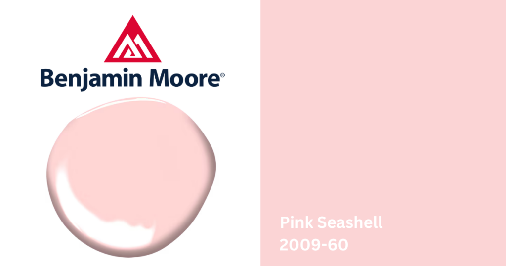 pink seashell 2009-60 color blotch and square