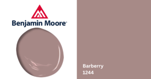 barberry 1244 paint blotch and square